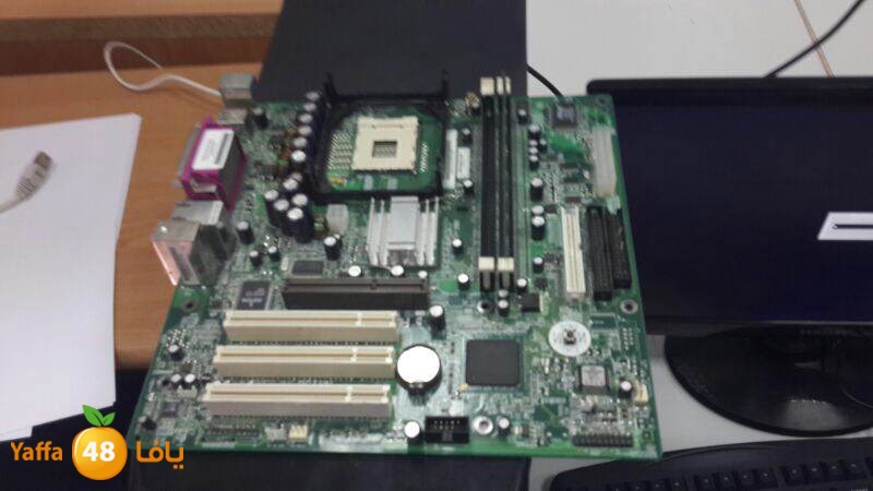 pc mersat yaffa 0519 (7).jpg